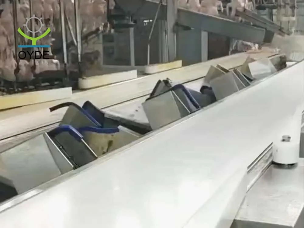 皮带分级称3