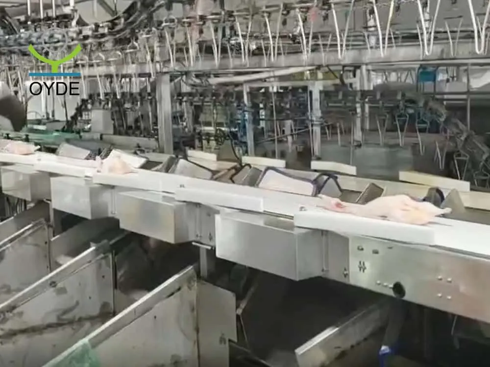 鸭鹅检重分级秤 螃蟹重量分选机 皮带式重量分选机